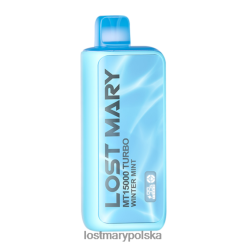 LOST MARY Polska - zgubiłem turbosprężarkę Mary Mt15000 zimowa mięta L4FV103