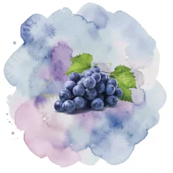 Grape FW aromat winogronowy USP koszerny bez diacetylu